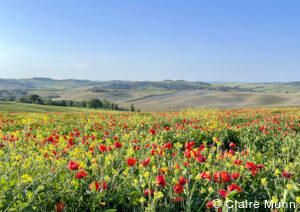 Florence, Tuscany & Rome