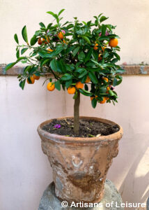 private Sicily tours Artisans of Leisure
