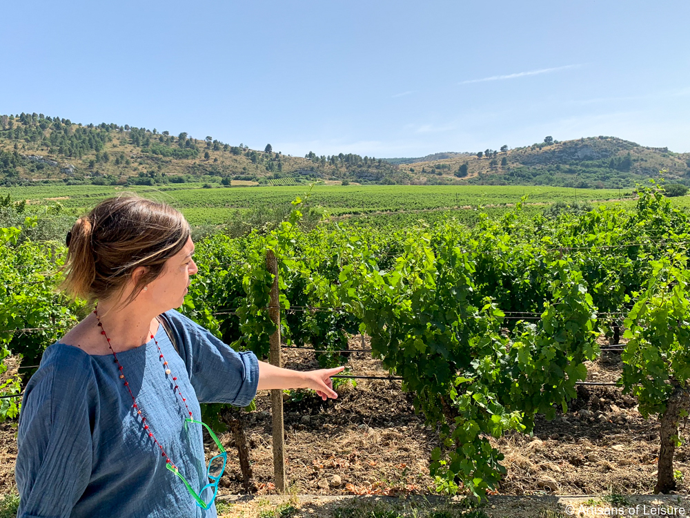 private wine tour sicily