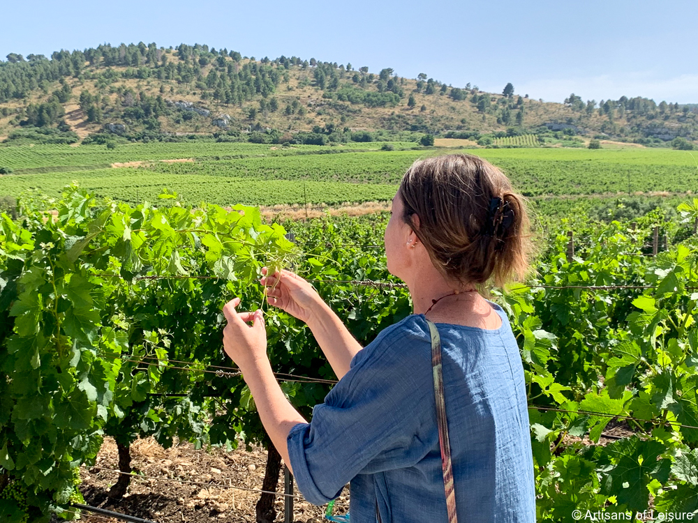 Sicily wine tour private