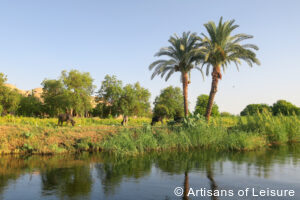 felucca ride