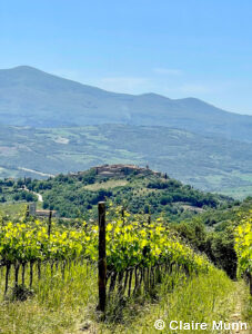 Tuscany tours