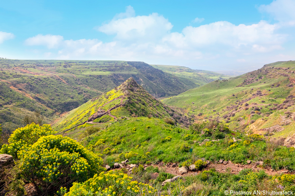 scenic tours israel