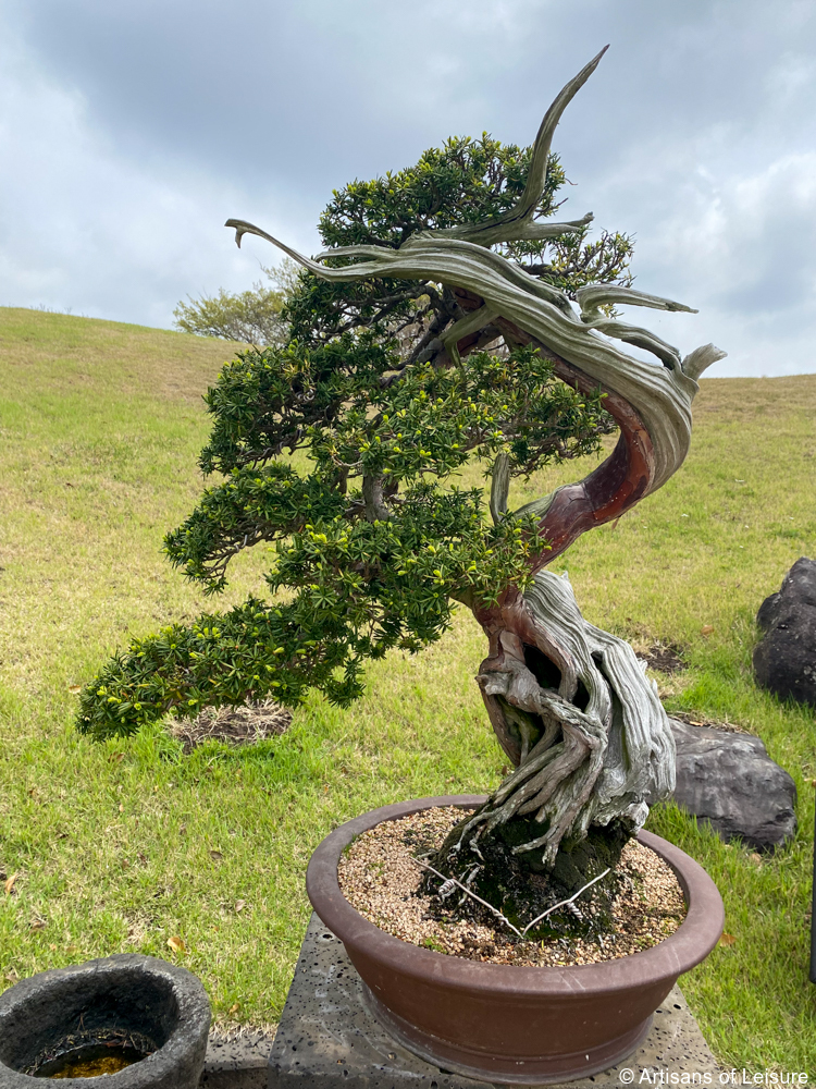 Spirited Garden, Jeju Island