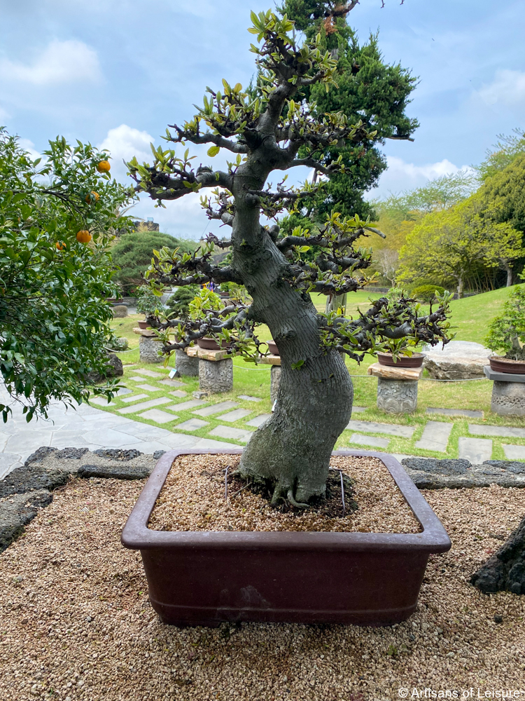 Spirited Garden, Jeju Island