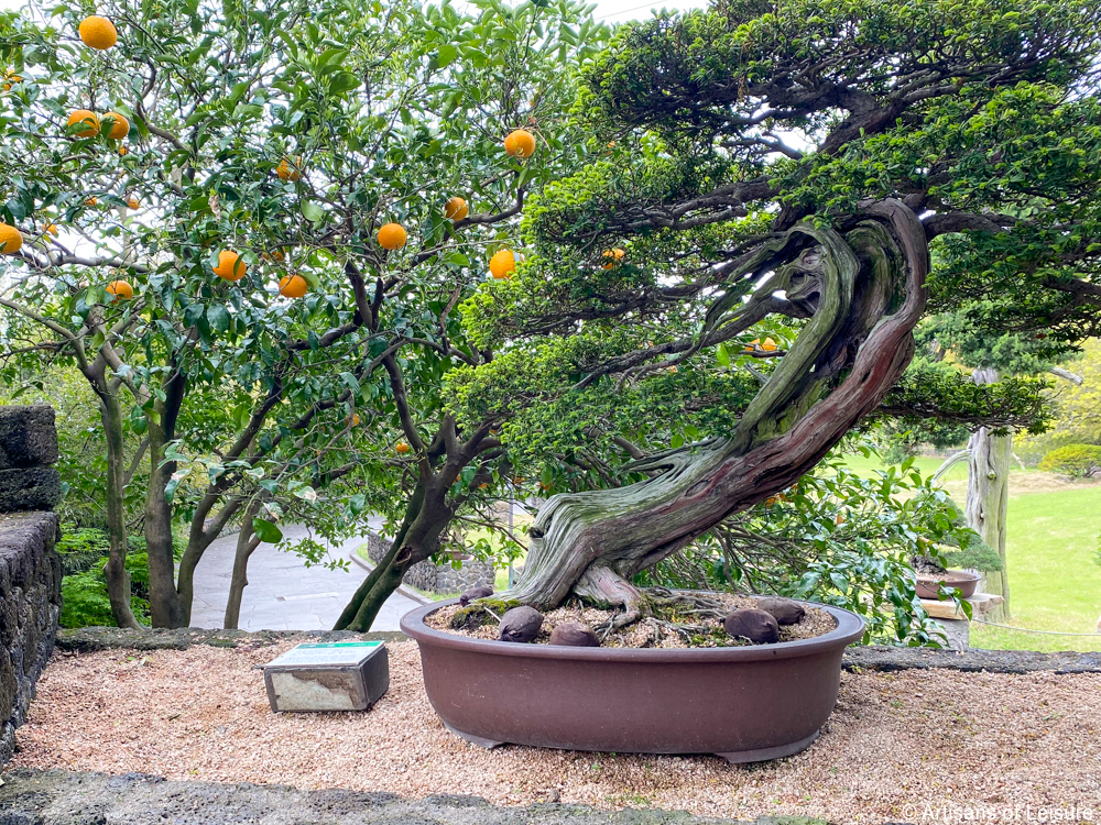 Spirited Garden, Jeju Island