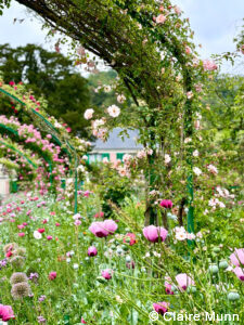 highlights of Normandy