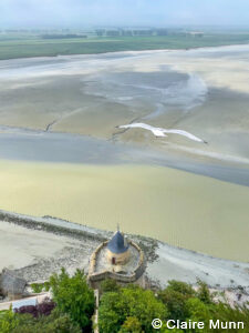 highlights of Normandy