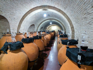 Georgia wine tours