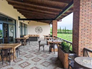 Georgia wine tours