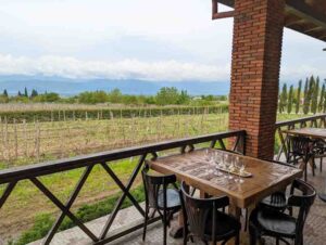 Georgia wine tours