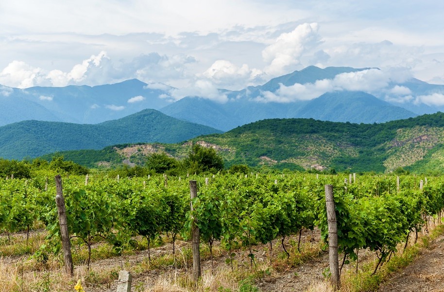 private Georgia wine tours