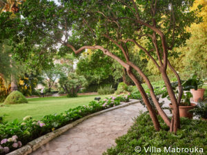 Villa Mabrouka