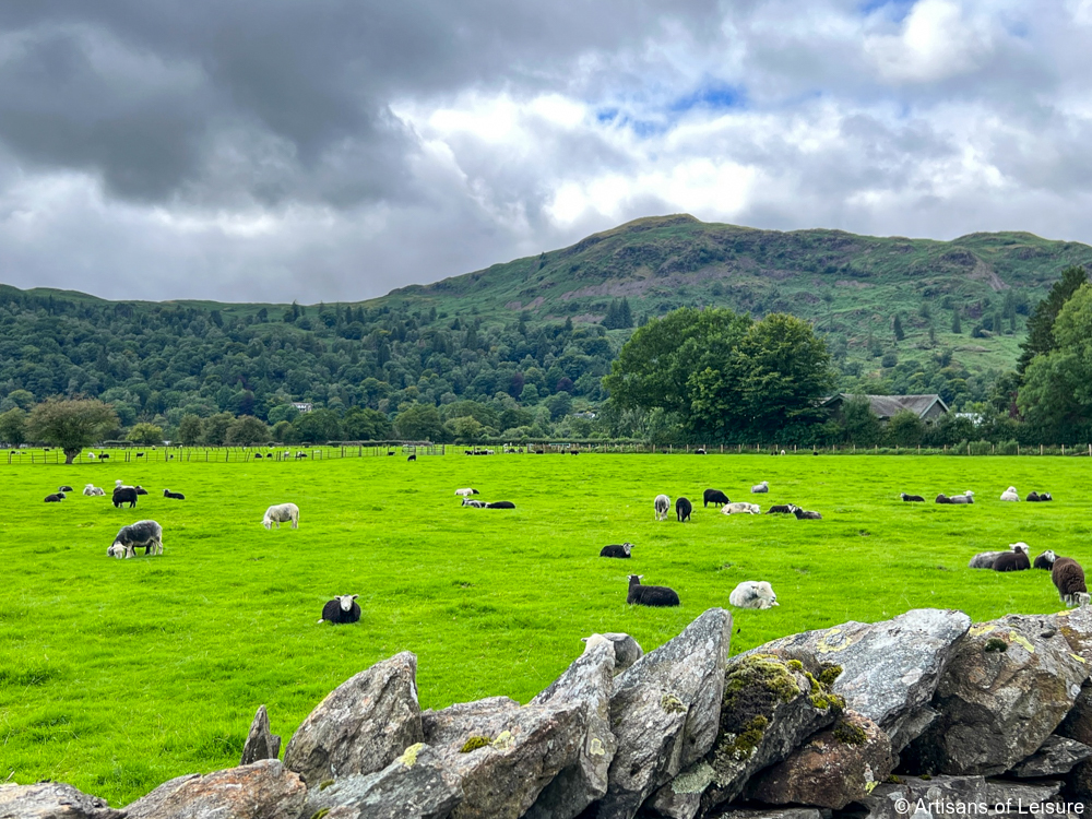 visit beatrix potter lake district