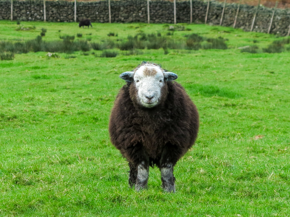 visit beatrix potter lake district