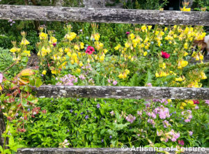 Hill Top Beatrix Potter