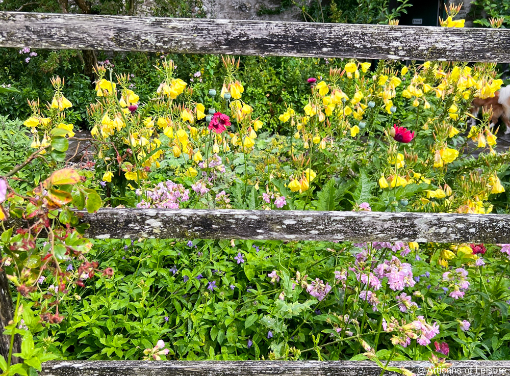 visit beatrix potter lake district