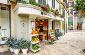 private Mallorca tours