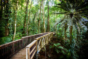 private luxury Australia tours