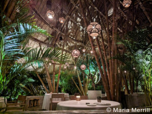 private luxury Bali tours