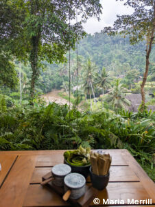 private luxury Bali tours