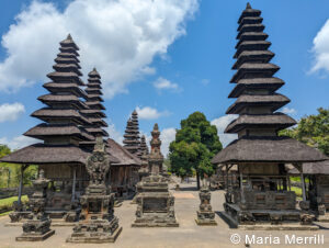 private luxury Bali tours