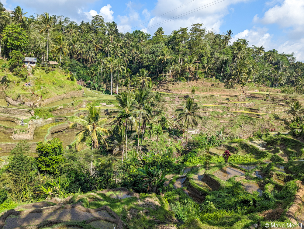 architecture tour bali