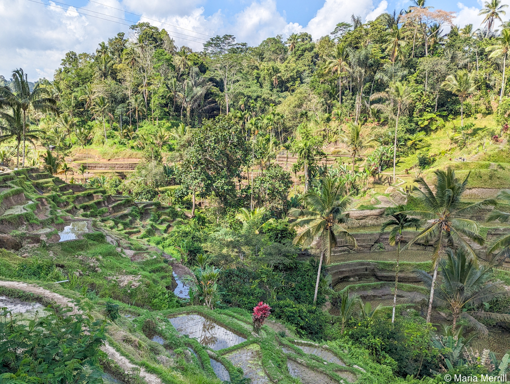 architecture tour bali