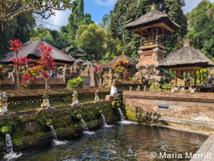 private luxury Bali tours