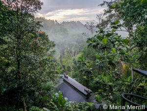 private luxury Bali tours