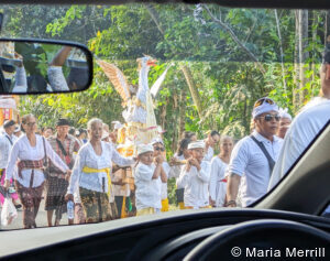 private luxury Bali tours