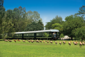 luxury Africa train journeys