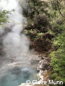New Zealand hot springs