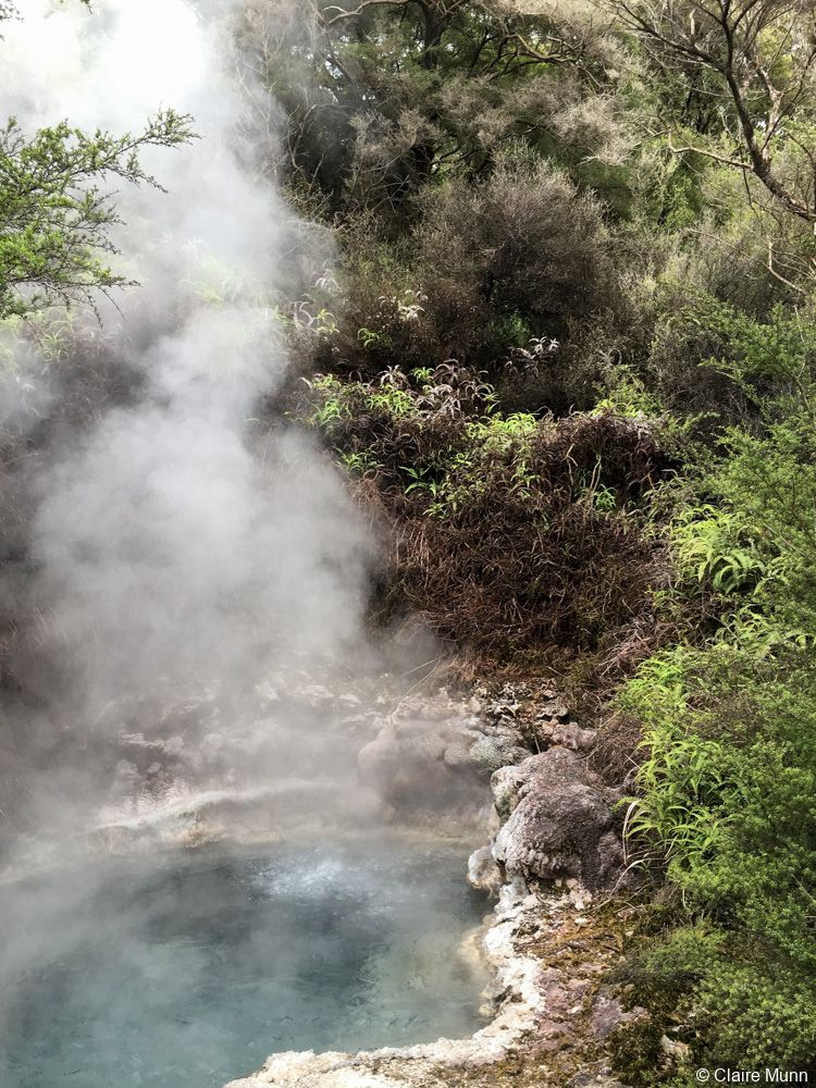 New Zealand hot springs