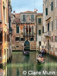 Highlights of Venice