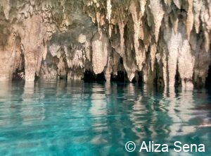 Riviera Maya cenote excursion