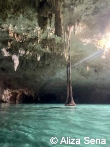 Riviera Maya cenote excursion