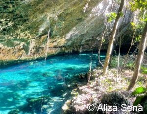 Riviera Maya cenote excursion