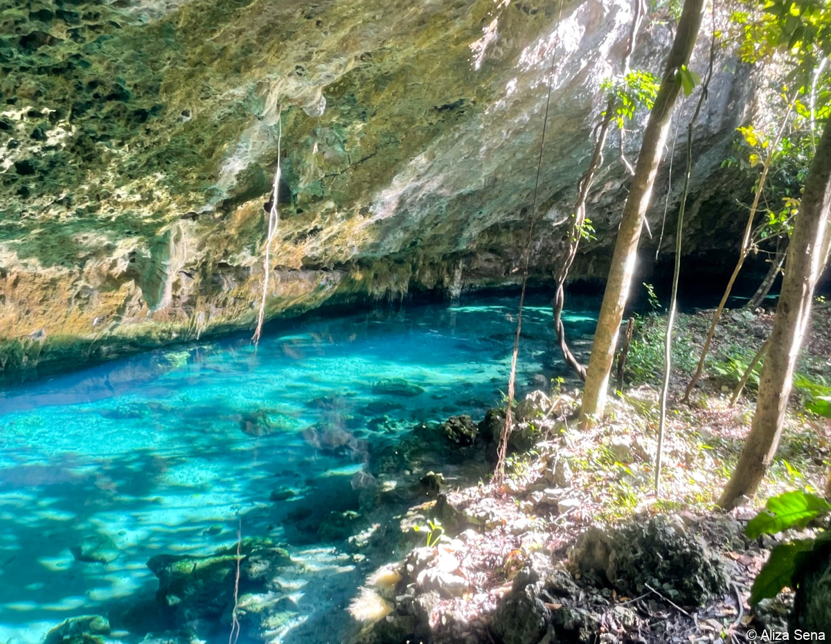 Riviera Maya cenote excursion