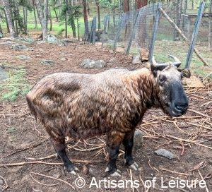 private Bhutan tours