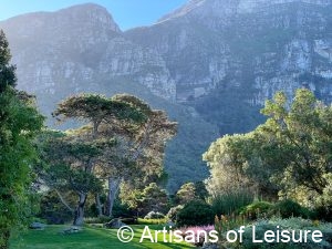 South Africa private tours - Cape Town - Kierstenbosch