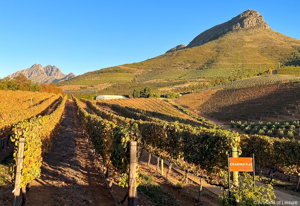 South Africa private tours - Cape Winelands