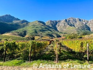 South Africa private tours - Cape Winelands vineyards