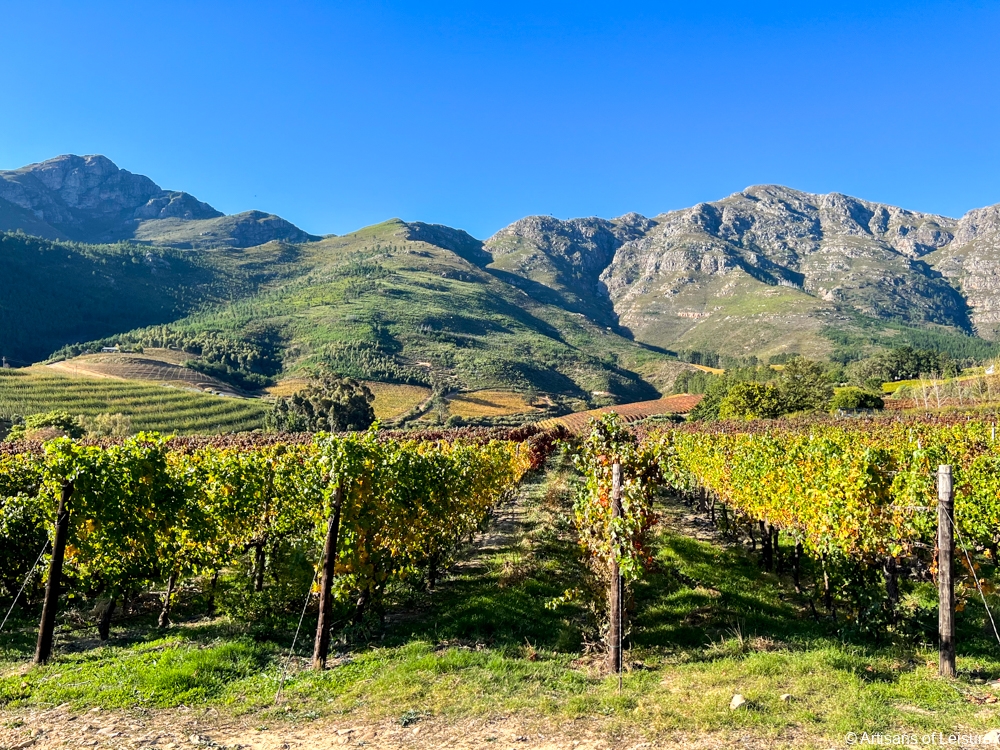 South Africa private tours - Cape Winelands vineyards