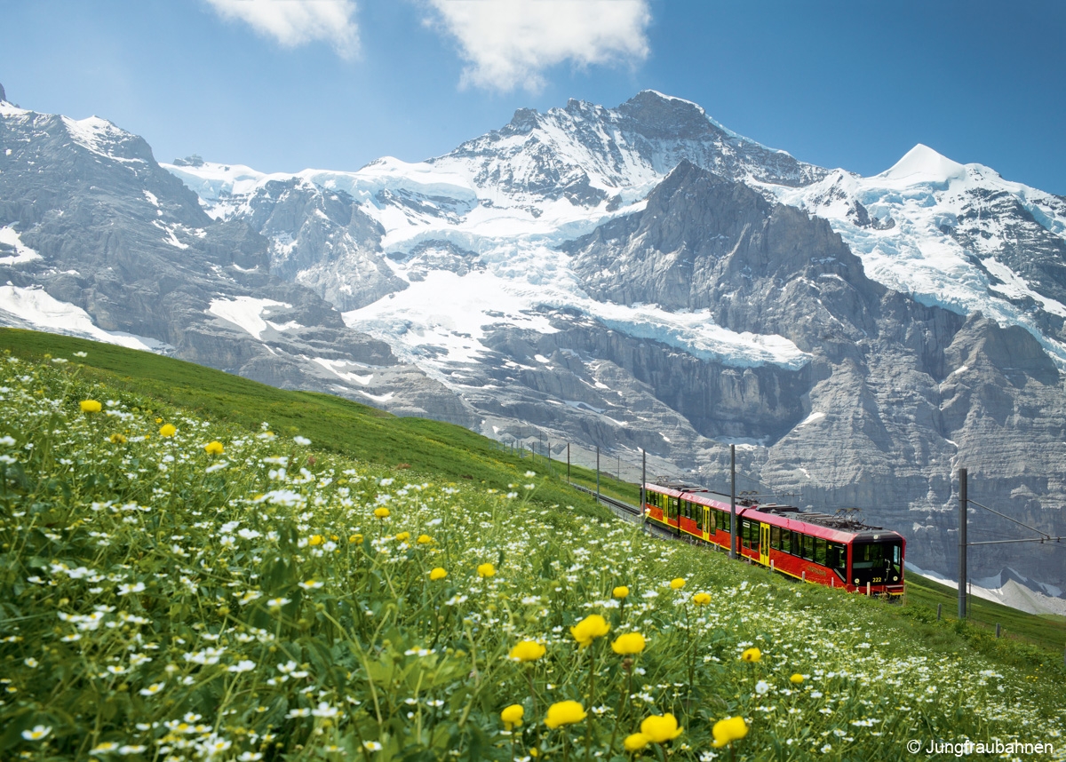 Jungfraujoch excursion