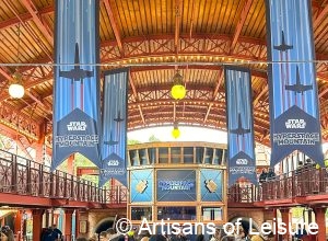 Disneyland Paris VIP tours