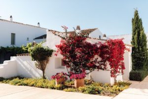 luxury Menorca hotels
