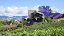 Food & Wine of Spain