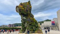 Best of the Basque Country