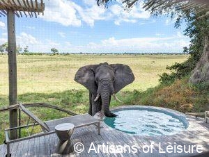 luxury Botswana safaris